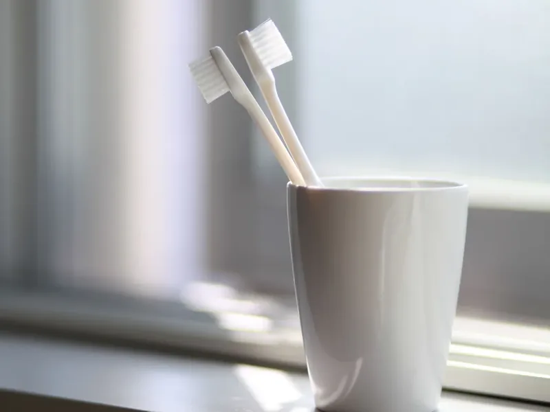 Toothbrushes in a cup by a bright window for everyday oral care